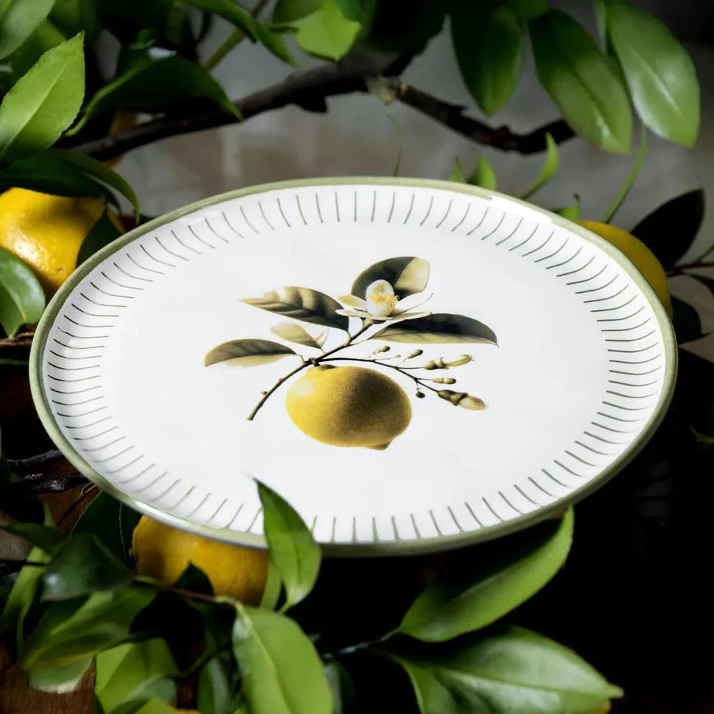 Pratos Rasos Limão Siciliano Cerâmica Porto Brasil